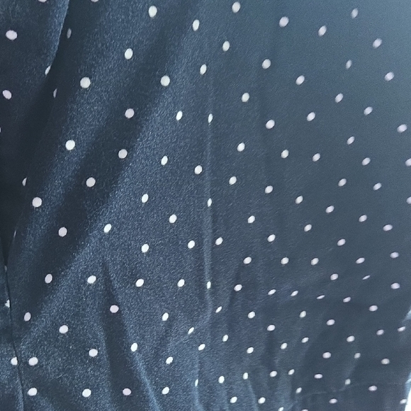 LOFT Navy Polka Dot Shorts - Picture 3 of 7